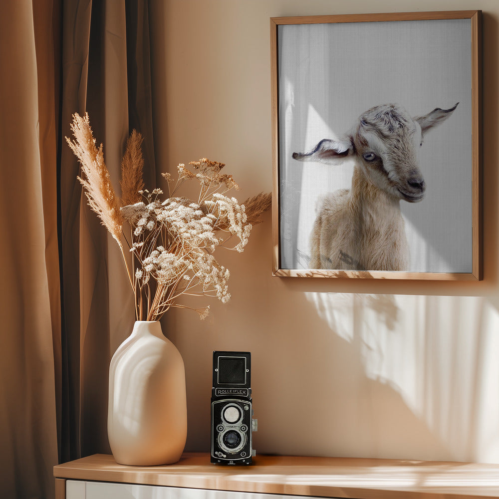 Peekaboo Baby Goat - Poster / Art Print - interiör