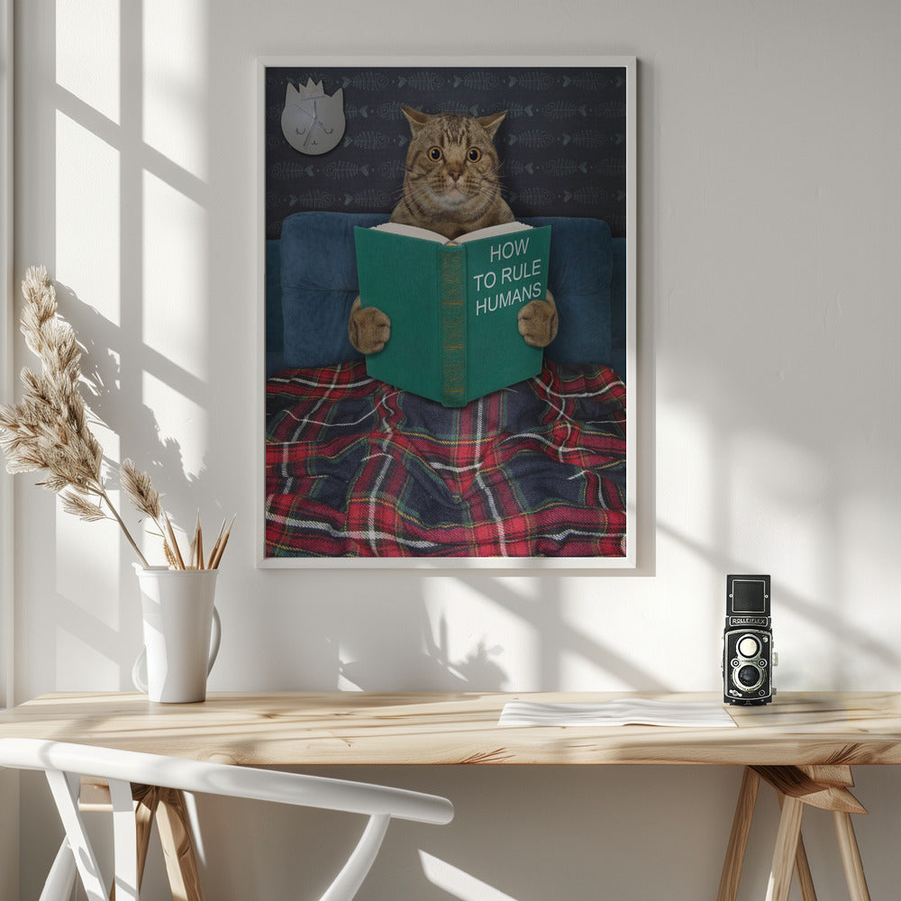 Very valuable advice ... - Poster / Art Print - interiör