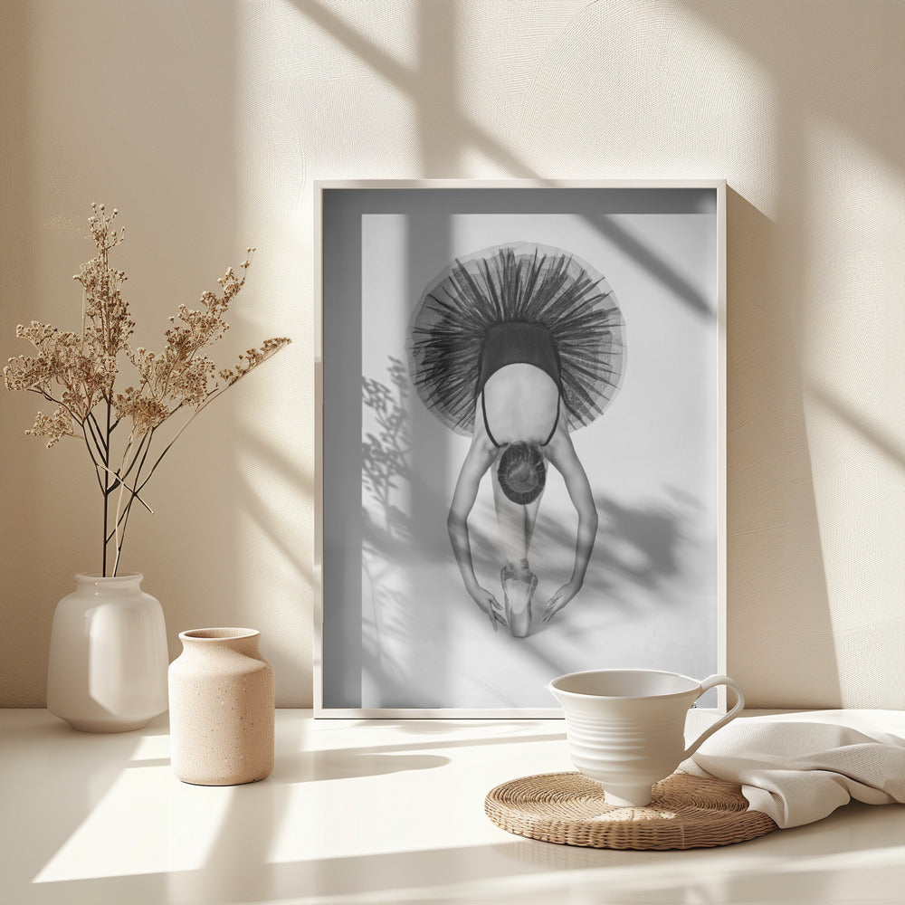 Ballet Technique - Poster / Art Print - interiör