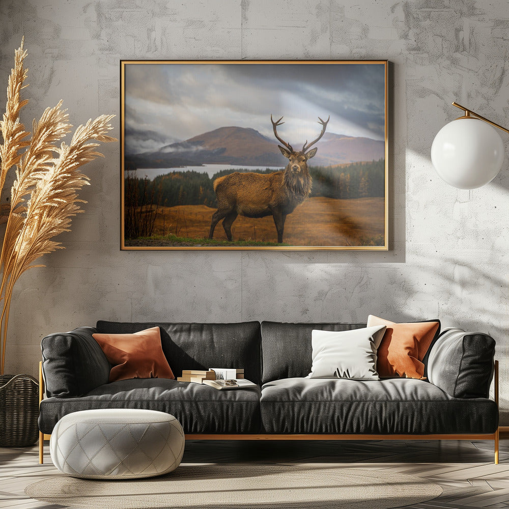 Scottish Stag - Poster / Art Print - interiör