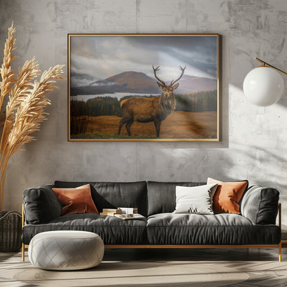 Scottish Stag - Poster / Art Print - interiör