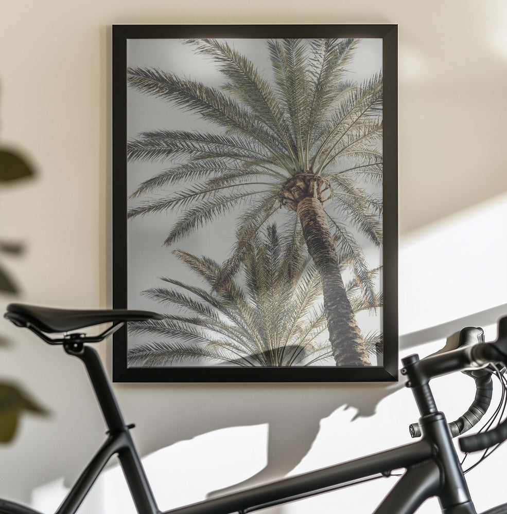 Palm_005 - Poster / Art Print - interiör