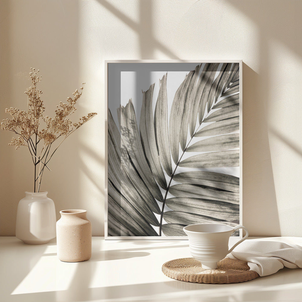 Palm Leaves 22 - Poster / Art Print - interiör