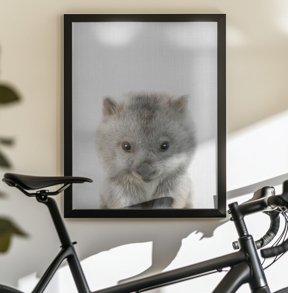 Peekaboo Baby Wombat - Poster / Art Print - interiör