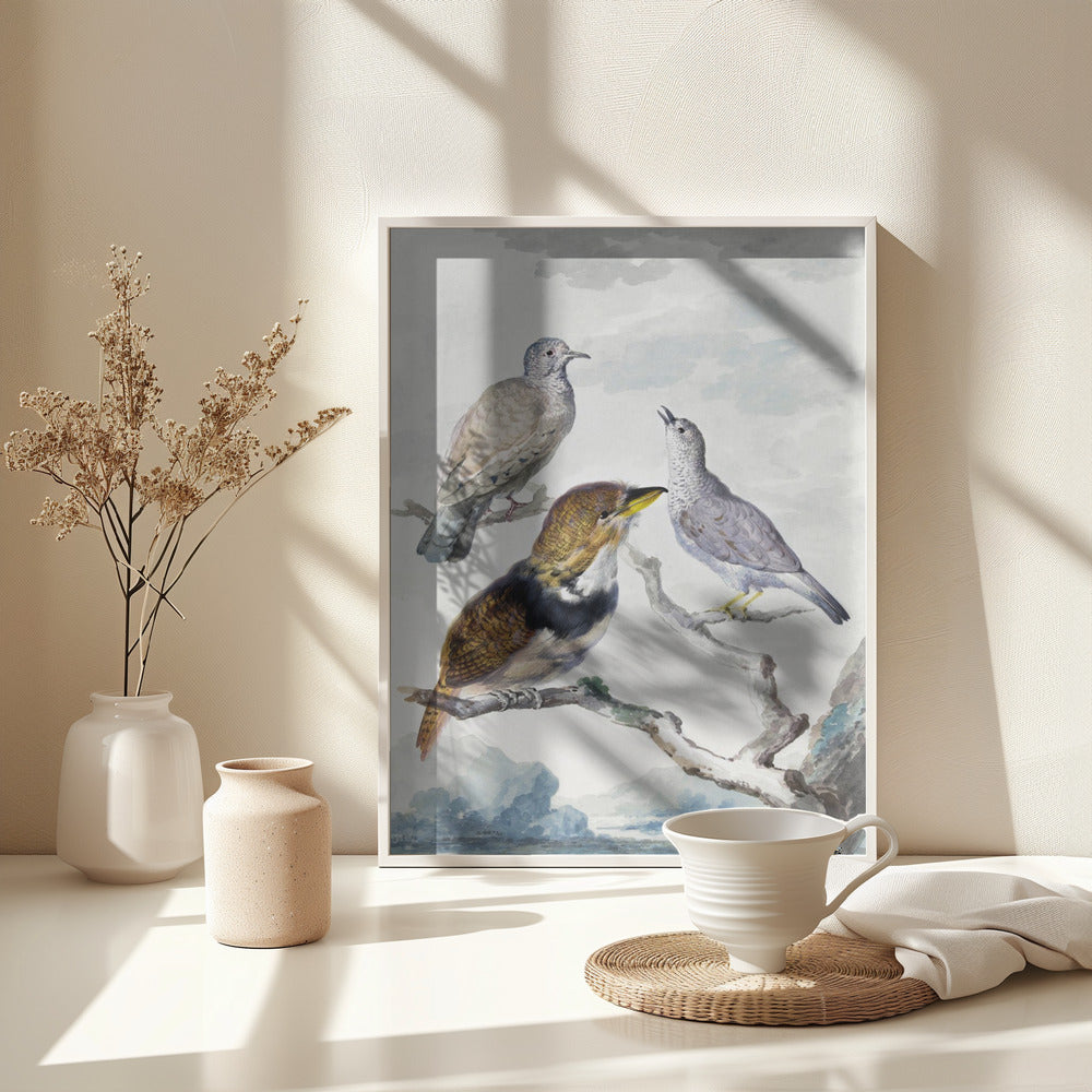 Three Birds, Two Inca Pigeons and a Collared Bearded Cuckoo - Poster / Art Print - interiör