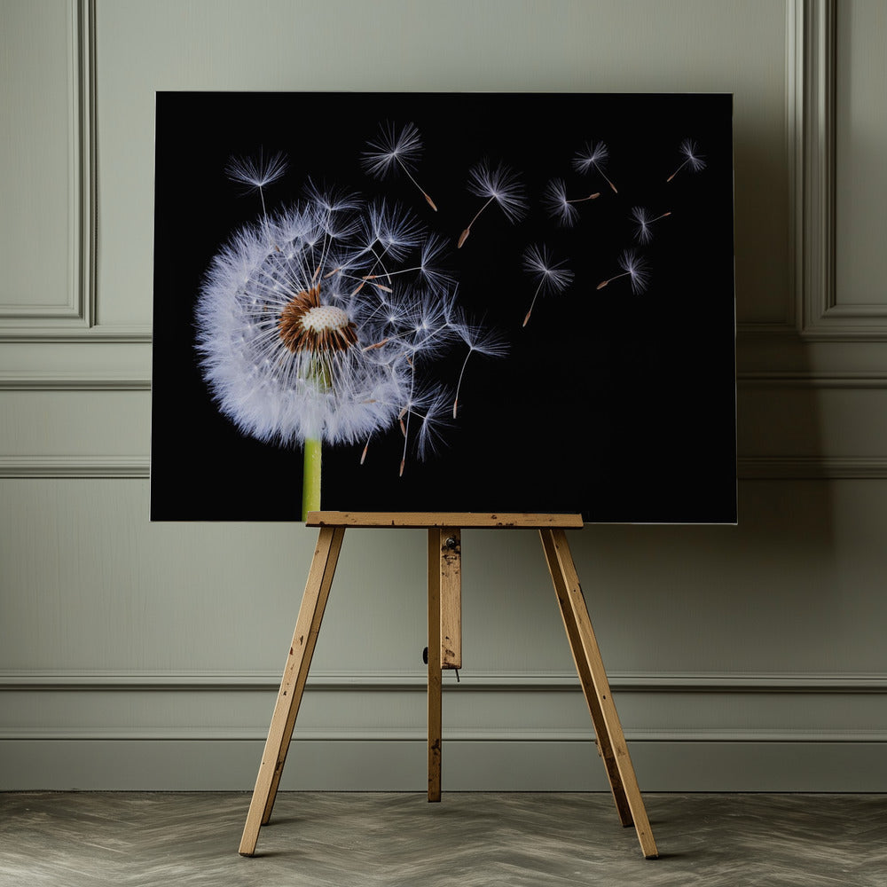 Dandelion Blowing - Poster / Art Print - interiör
