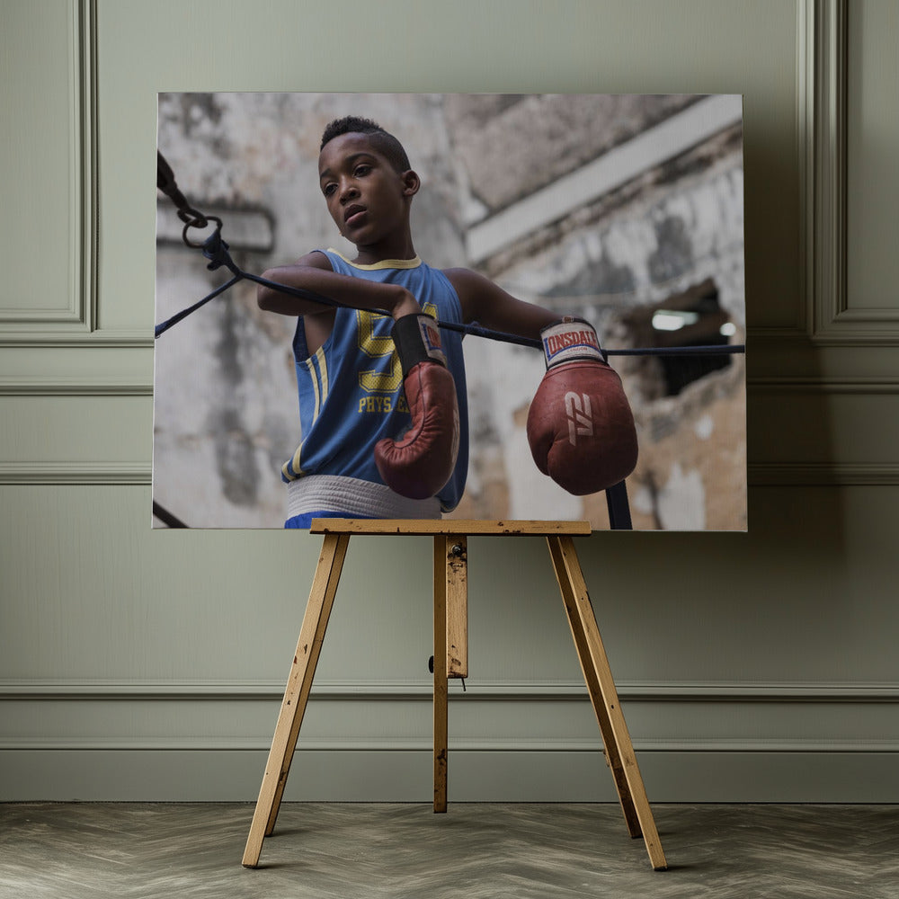 Boxing - Poster / Art Print - interiör