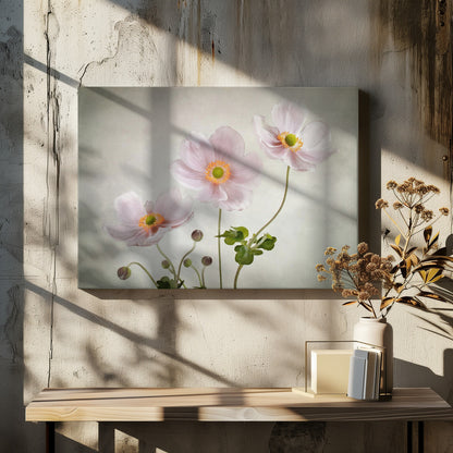 Anemones - Poster / Art Print - interiör