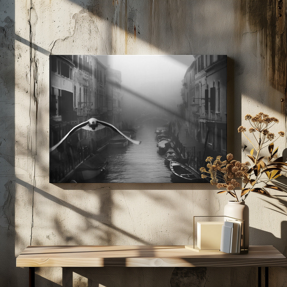 Seagull from the mist - Poster / Art Print - interiör