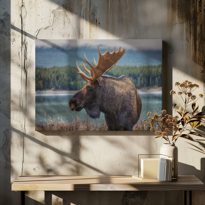 Moose - Poster / Art Print - interiör