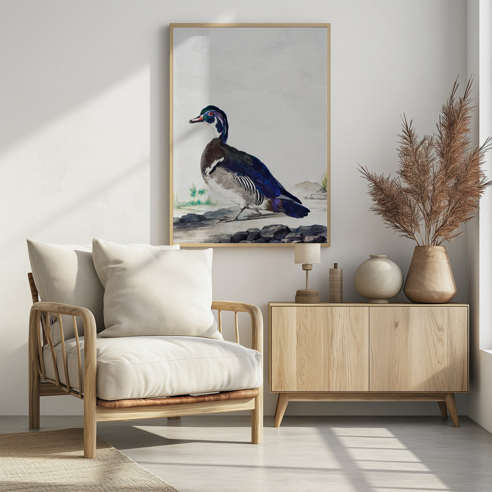 A Duck - Poster / Art Print - interiör