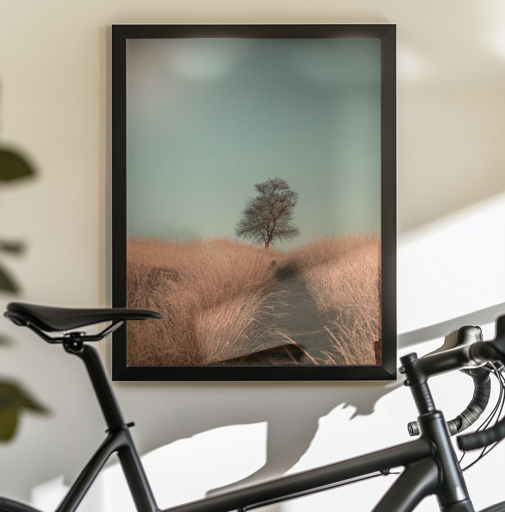 Grass and Path - Poster / Art Print - interiör
