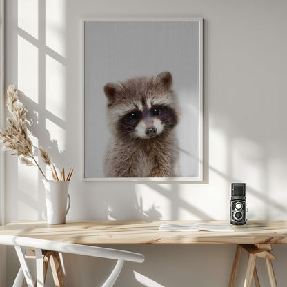 Peekaboo Raccoon - Poster / Art Print - interiör