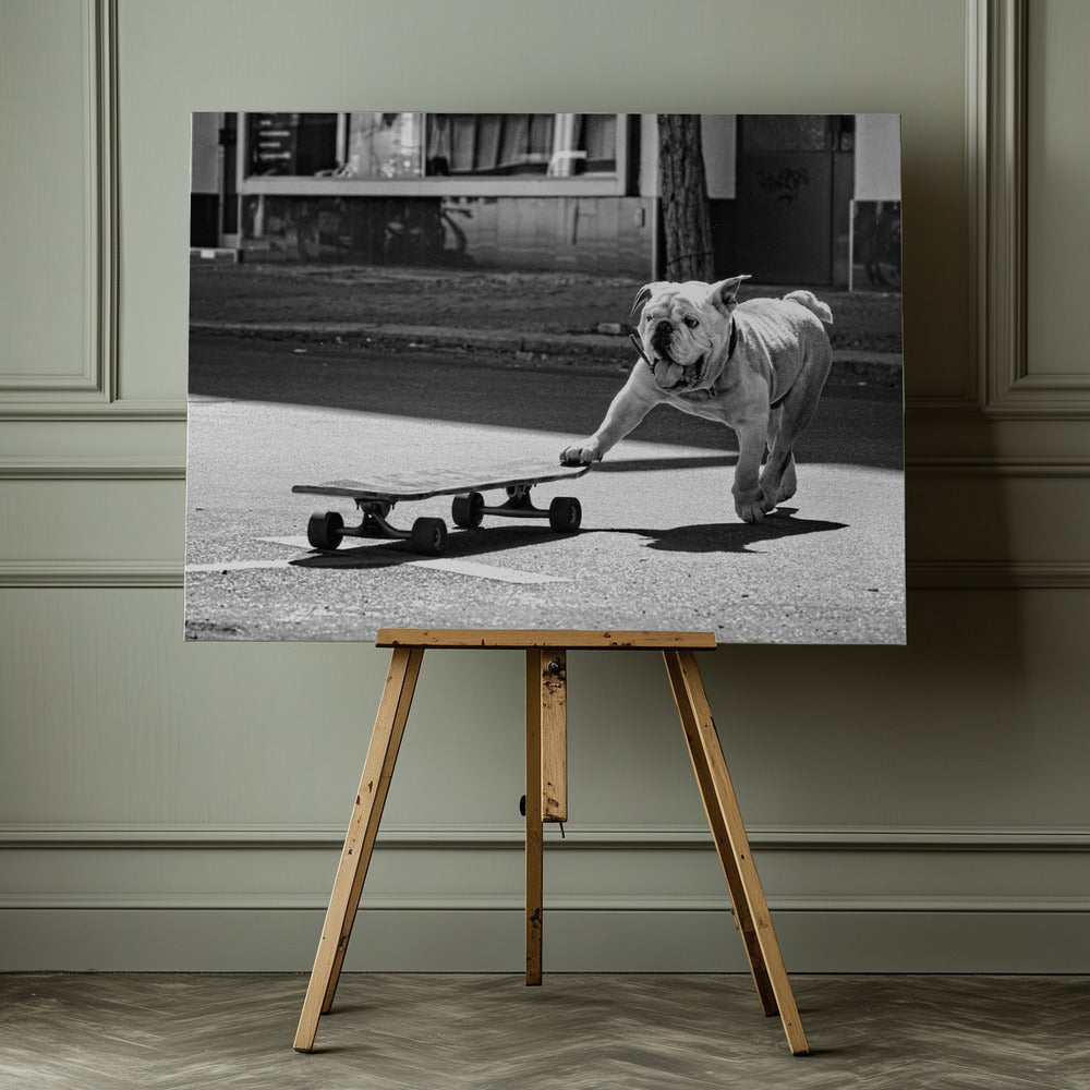 Dogs just want to have fun - Poster / Art Print - interiör