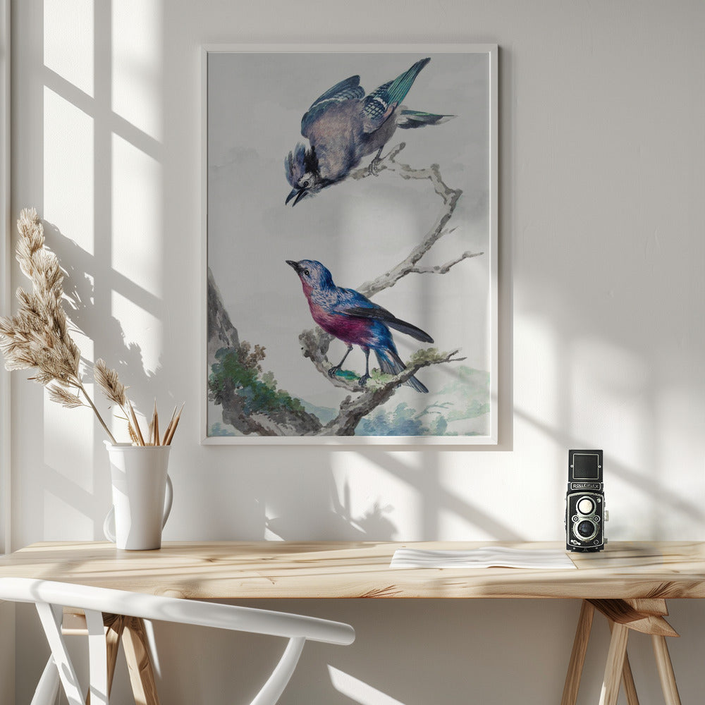 Two Birds  a Blue Jay and a Purple Breasted Cotinga - Poster / Art Print - interiör