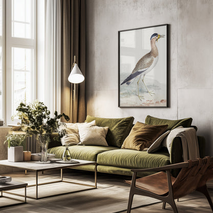 A Yellow Wattled Lapwing - Poster / Art Print - interiör