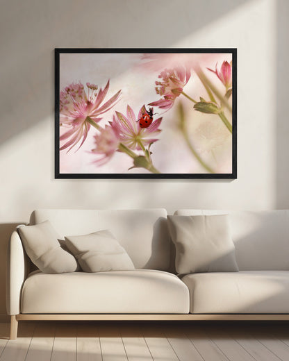 Ladybird and pink flowers - Poster / Art Print - interiör