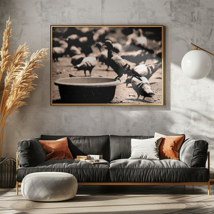 Birds 05 - Poster / Art Print - interiör