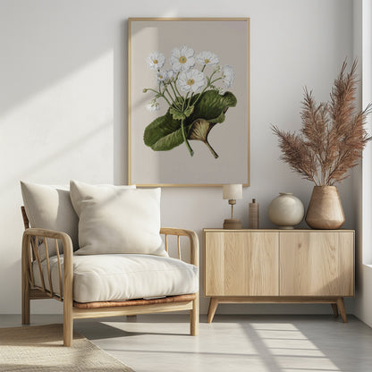 The Mountain Lily Drawn By Sarah Featon (1848–1927) - Poster / Art Print - interiör