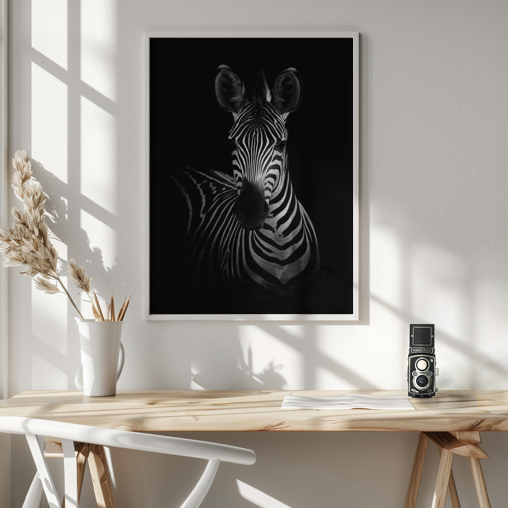 The Zebra - Poster / Art Print - interiör
