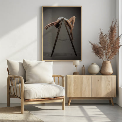 how to use a ladder - Poster / Art Print - interiör