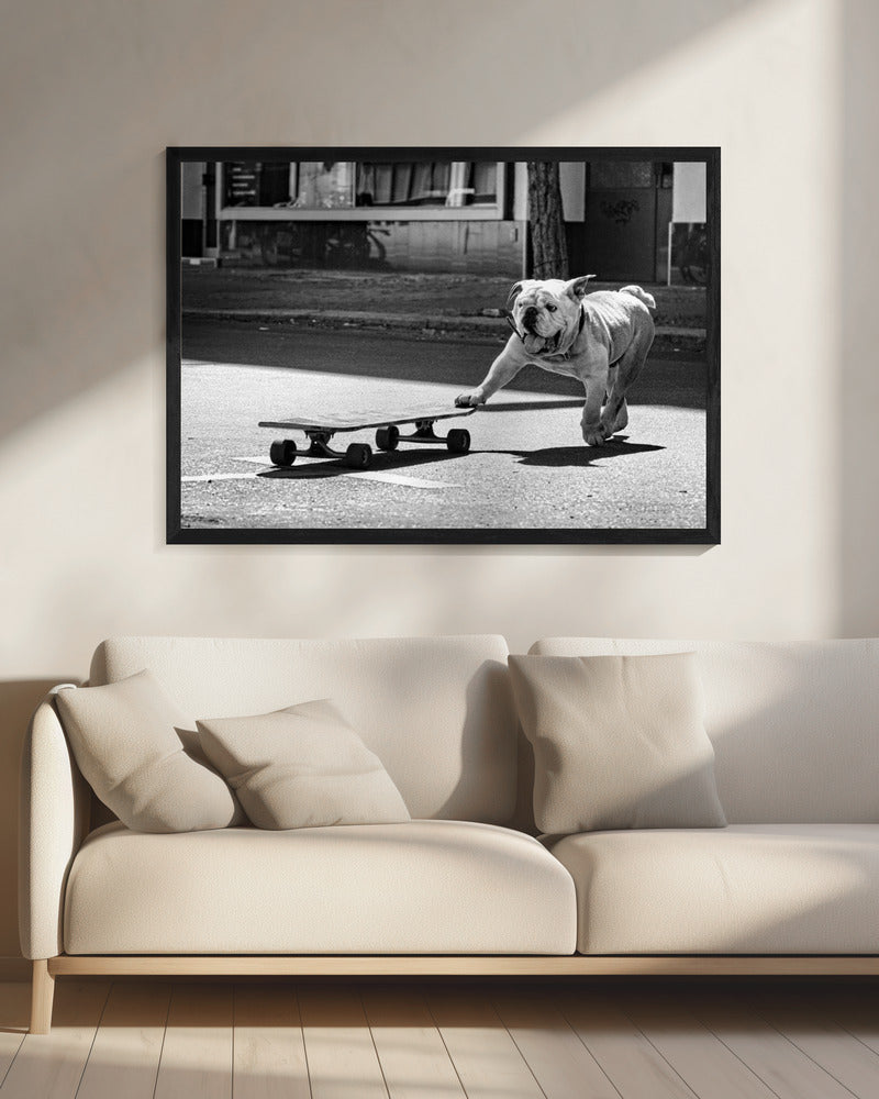 Dogs just want to have fun - Poster / Art Print - interiör