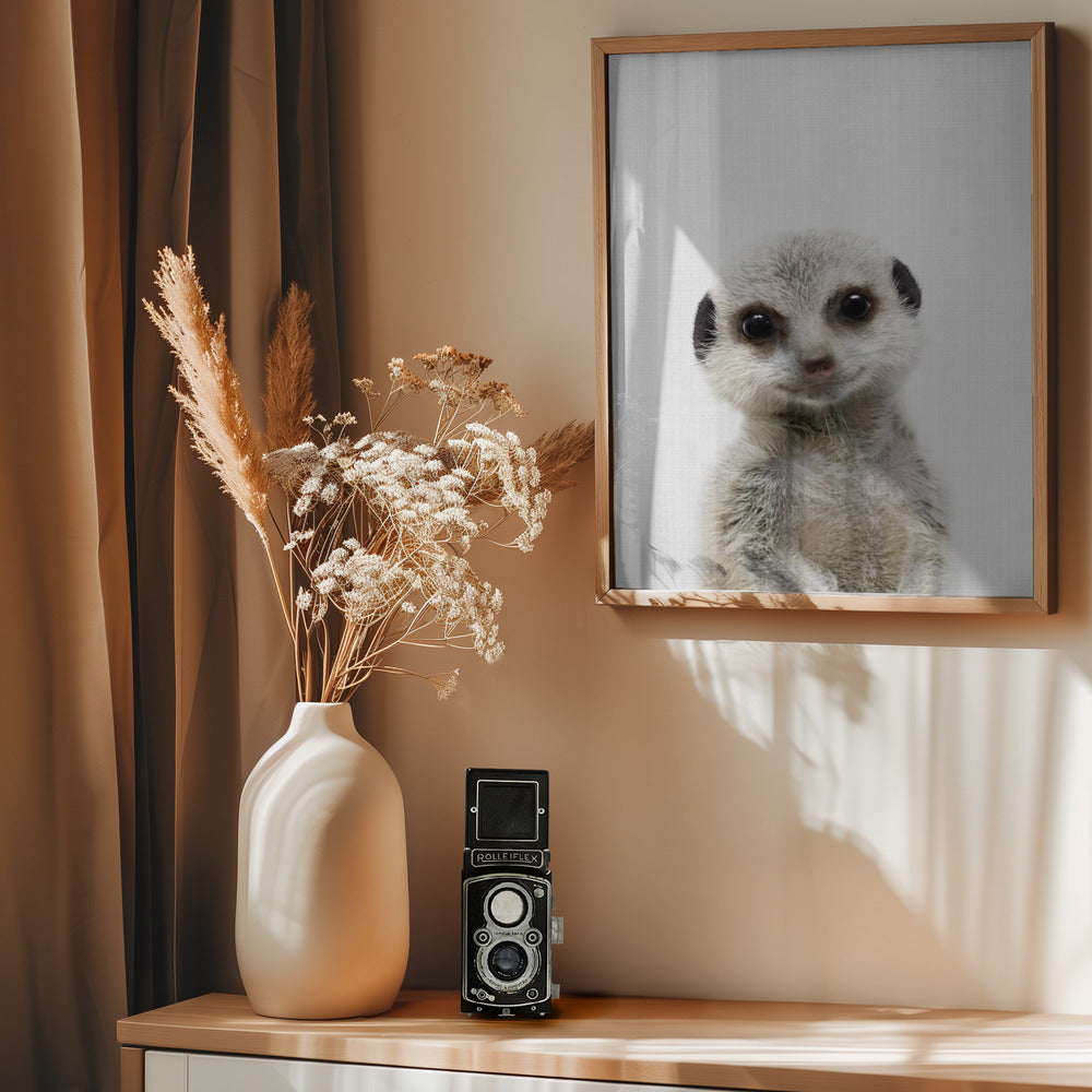 Peekaboo Baby Meerkat - Poster / Art Print - interiör