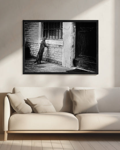 The cat - Poster / Art Print - interiör