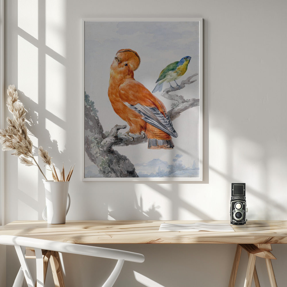 Two Exotic Birds - Poster / Art Print - interiör