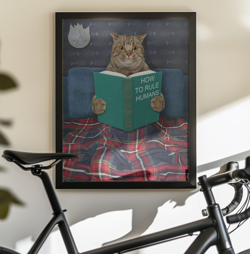 Very valuable advice ... - Poster / Art Print - interiör