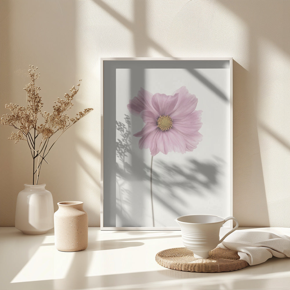 Cosmos flower - Poster / Art Print - interiör