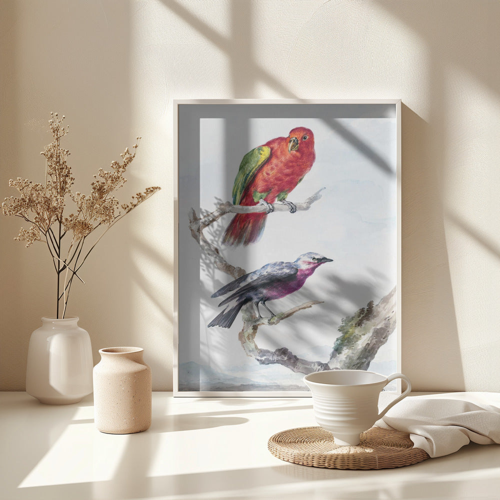 Two Birds, Including a Red Green Parrot - Poster / Art Print - interiör