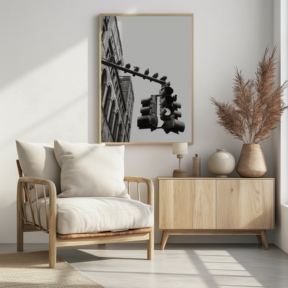 New York City Doves - Poster / Art Print - interiör