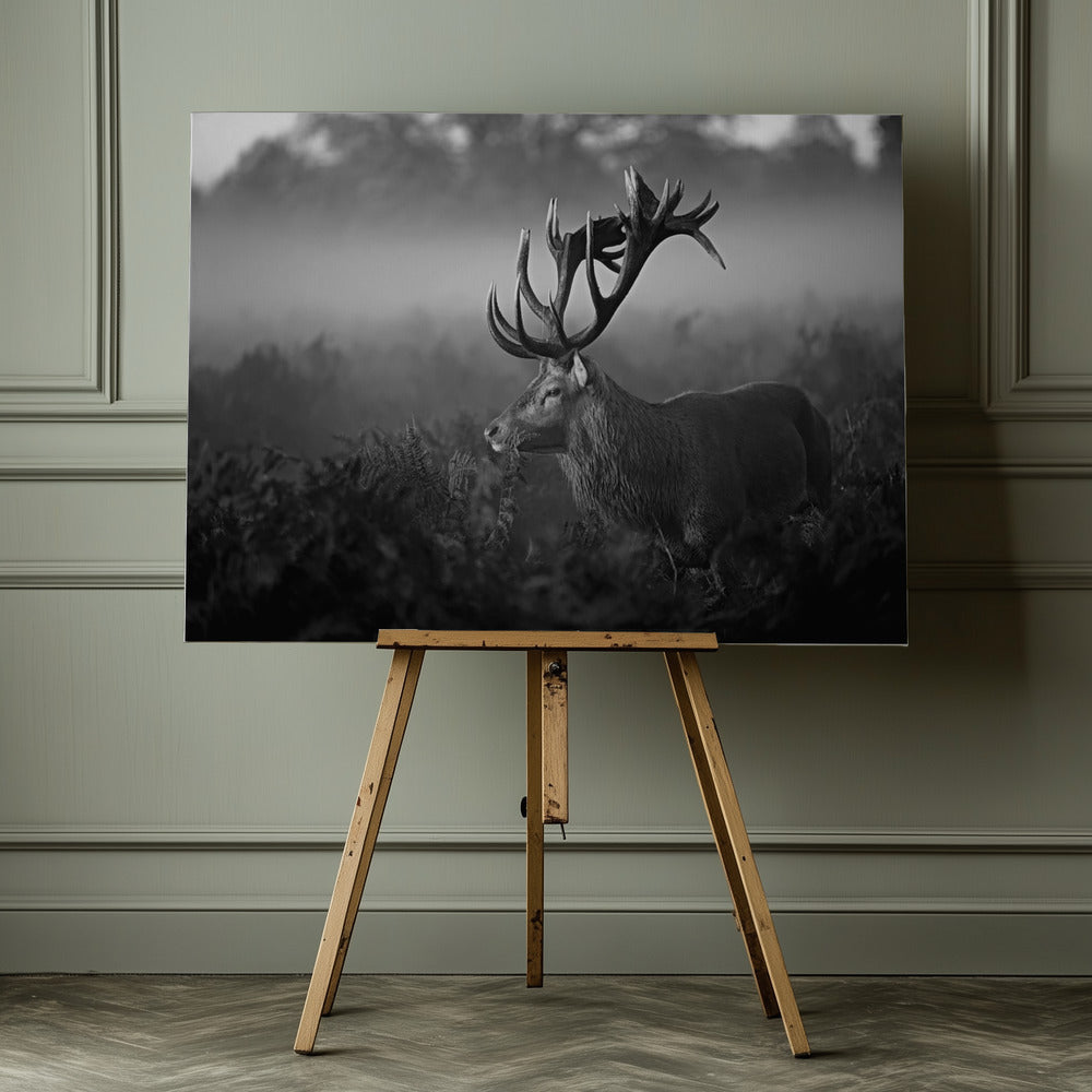 Sunny Morning - Poster / Art Print - interiör