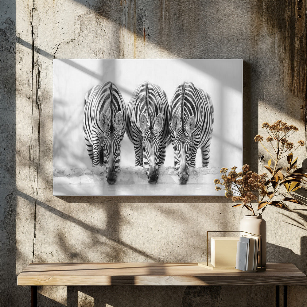 Zebras - Poster / Art Print - interiör