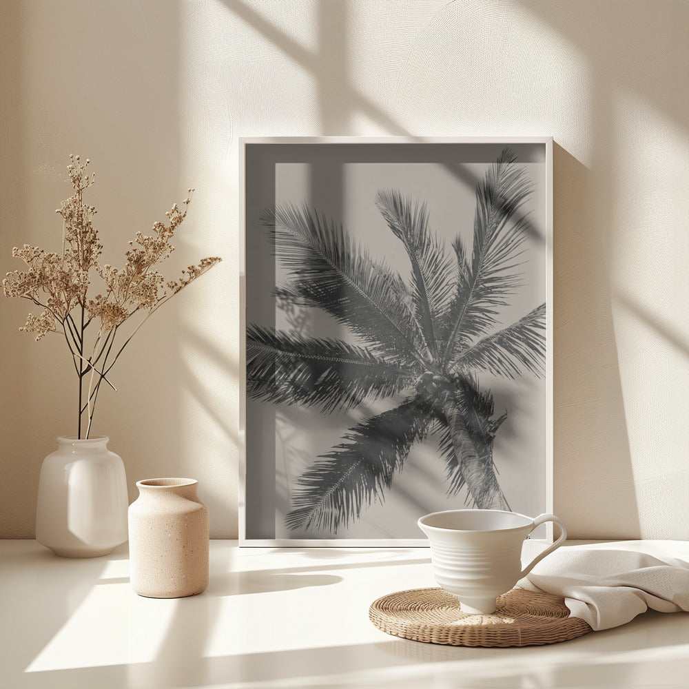 Palm Tree - Poster / Art Print - interiör