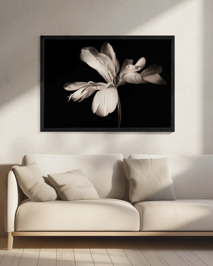 Tulip Exotic Emperor - Poster / Art Print - interiör