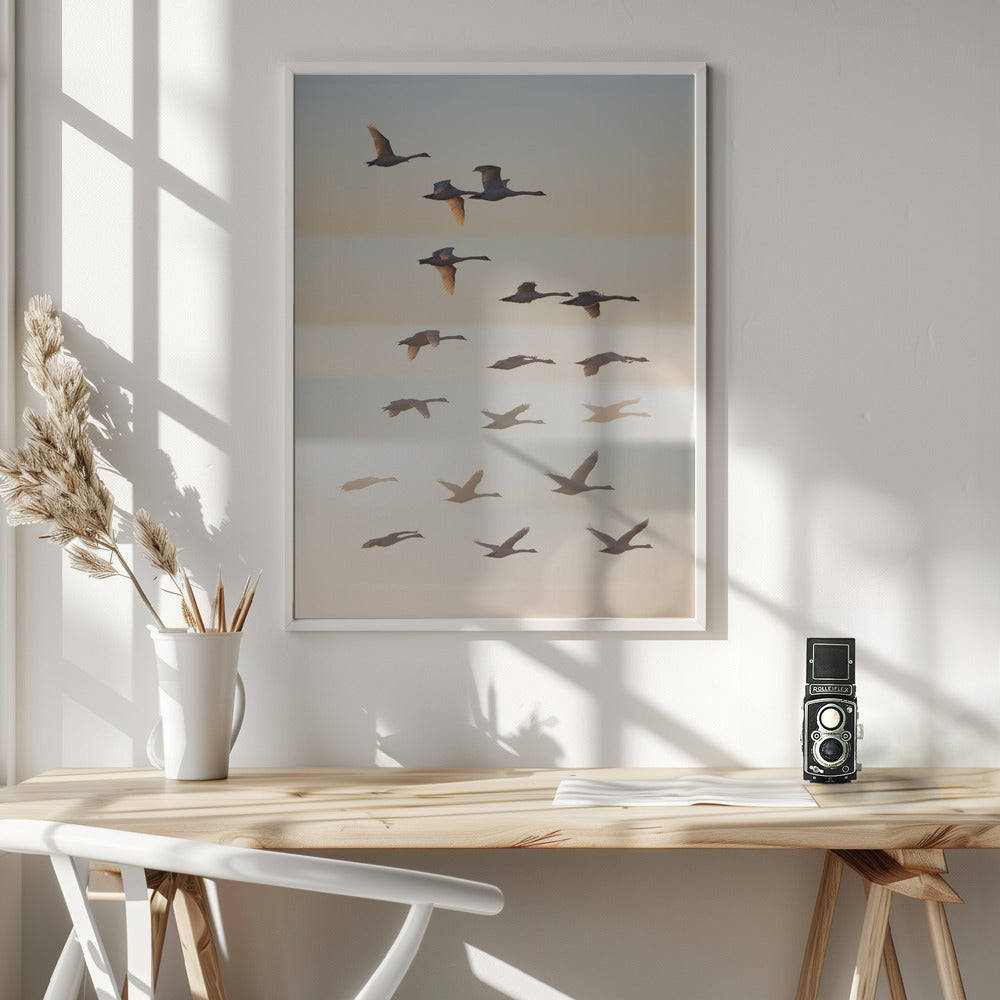 Past the sun. - Poster / Art Print - interiör
