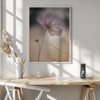 Cosmos - Poster / Art Print - interiör