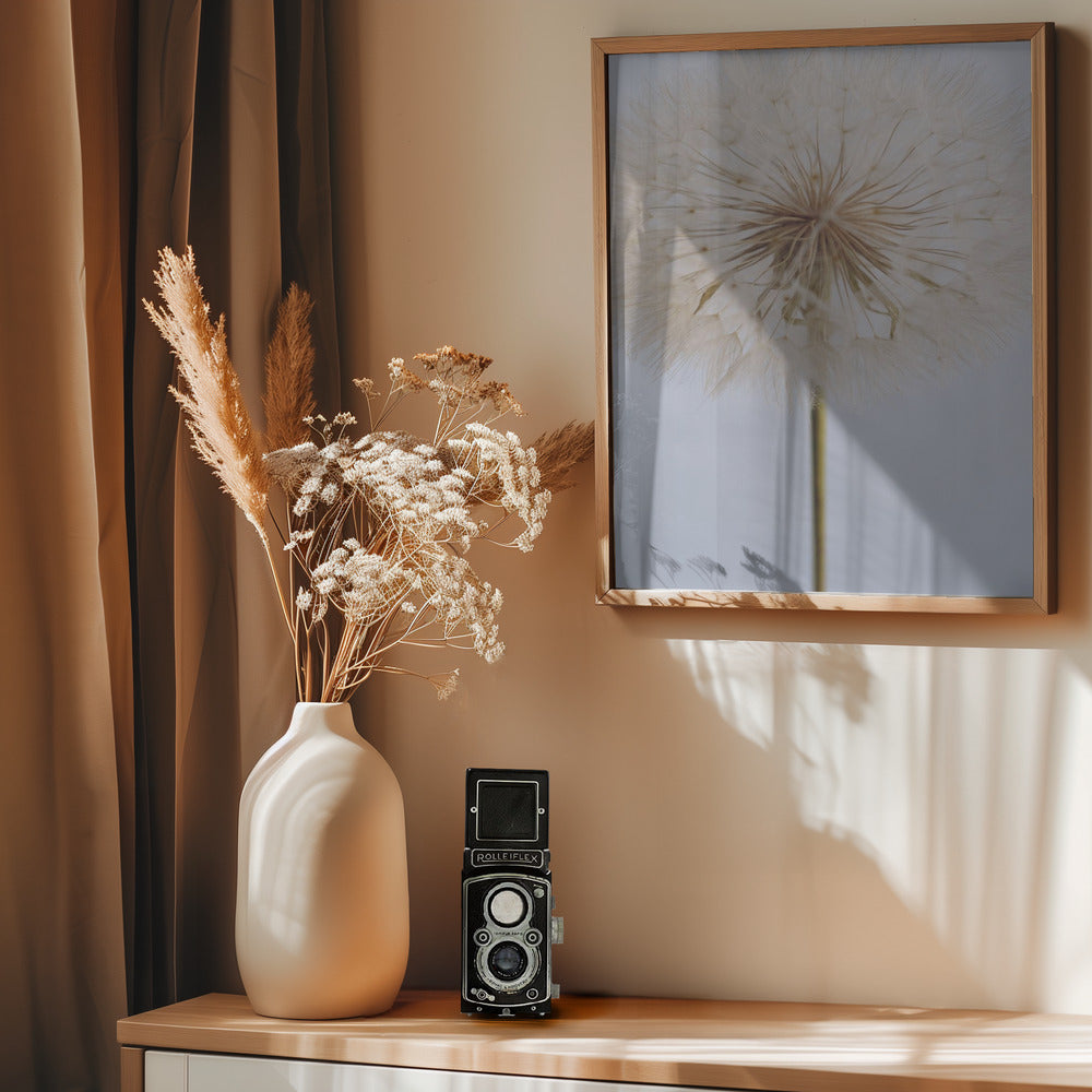 Delicate Dandelion - Poster / Art Print - interiör