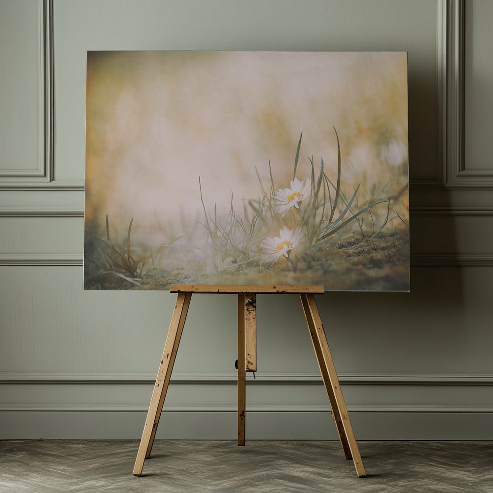 Sommartid - Poster / Art Print - interiör