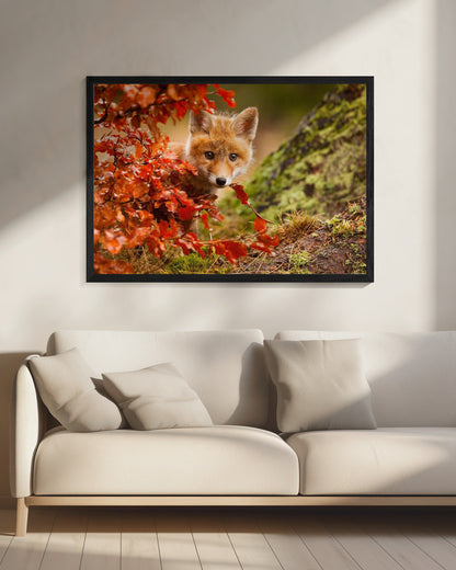 Fox - Poster / Art Print - interiör