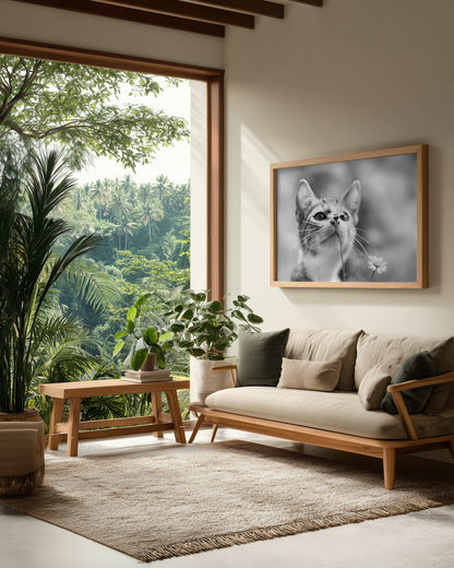 Curious - Poster / Art Print - interiör