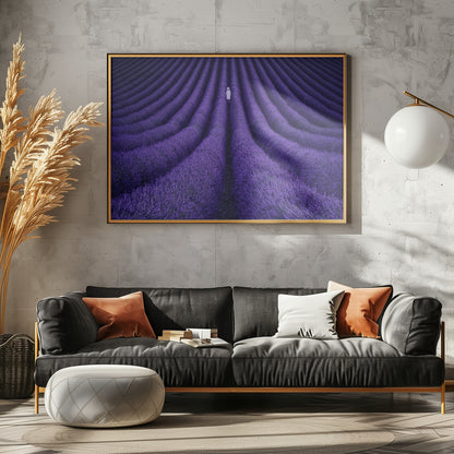 SHE - Poster / Art Print - interiör
