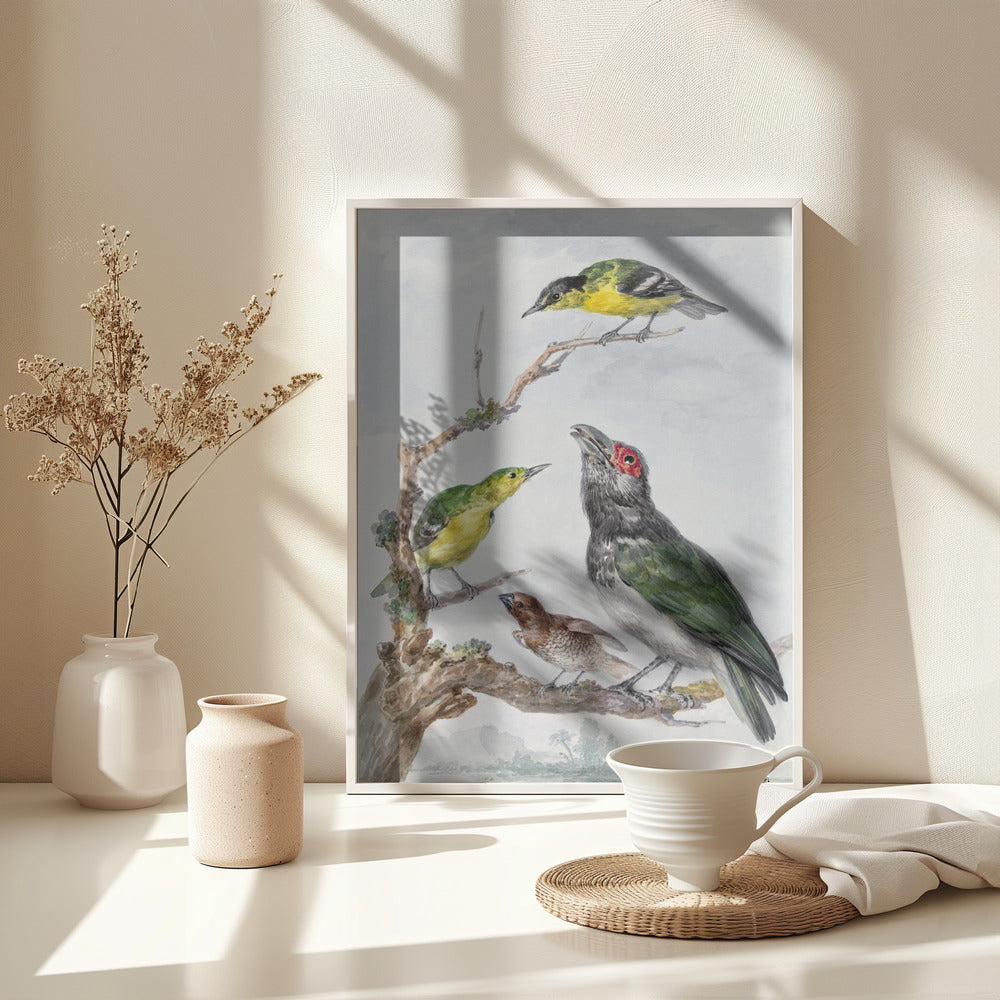 Four Different Birds On a Branch - Poster / Art Print - interiör