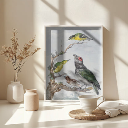 Four Different Birds On a Branch - Poster / Art Print - interiör