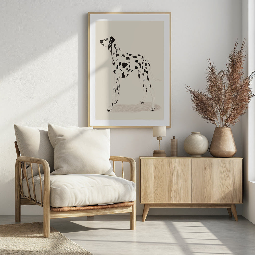 Pandc Dalmation - Poster / Art Print - interiör
