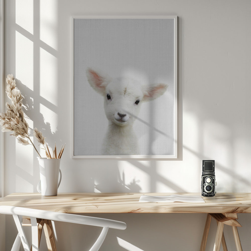 Peekaboo Baby Sheep - Poster / Art Print - interiör