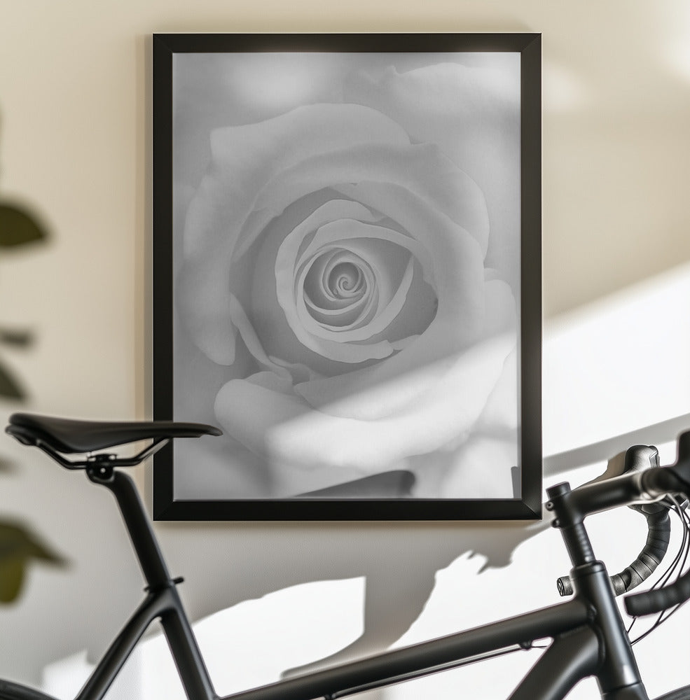 The Rose - Poster / Art Print - interiör