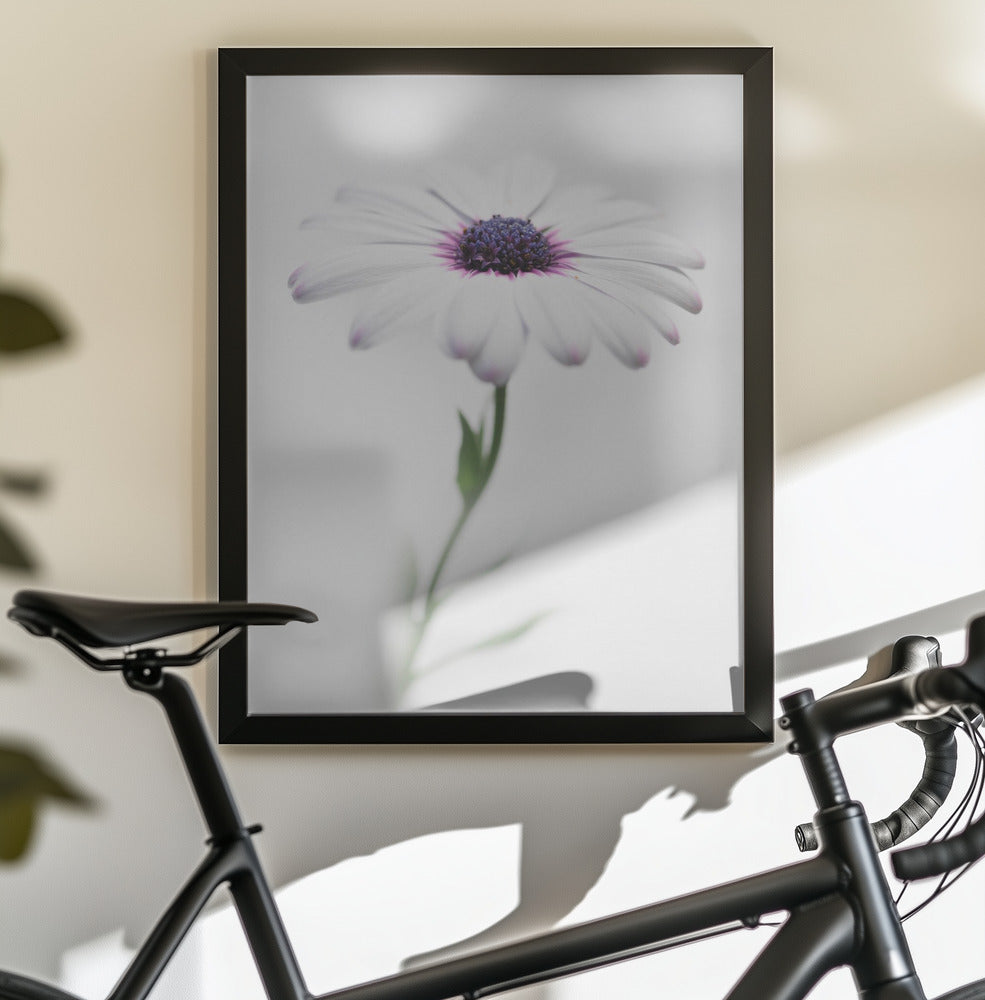 In my garden_3 - Poster / Art Print - interiör
